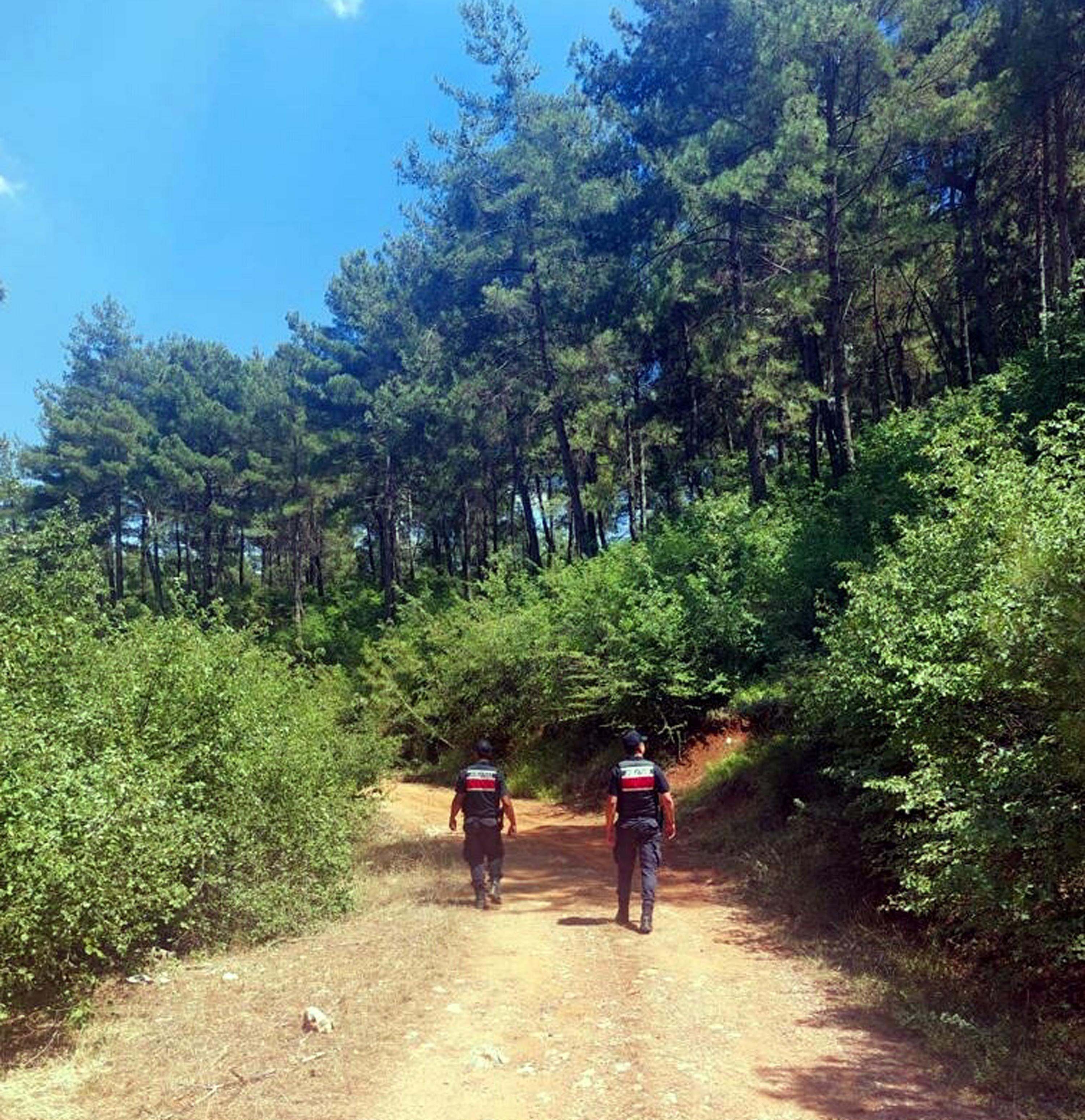 Muğla'da ormanlara giriş yasaklandı