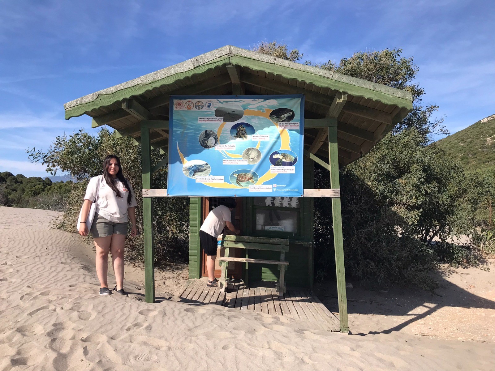 Patara'da caretta yuva rekoru