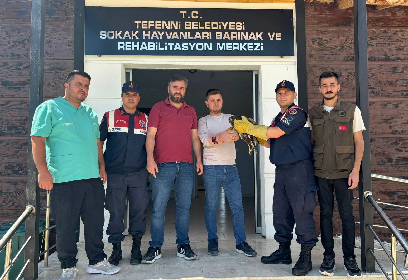 Yaralı Kızıl Şahin Burdur'da Jandarma Tarafından Kurtarıldı ve Tedaviye Alındı