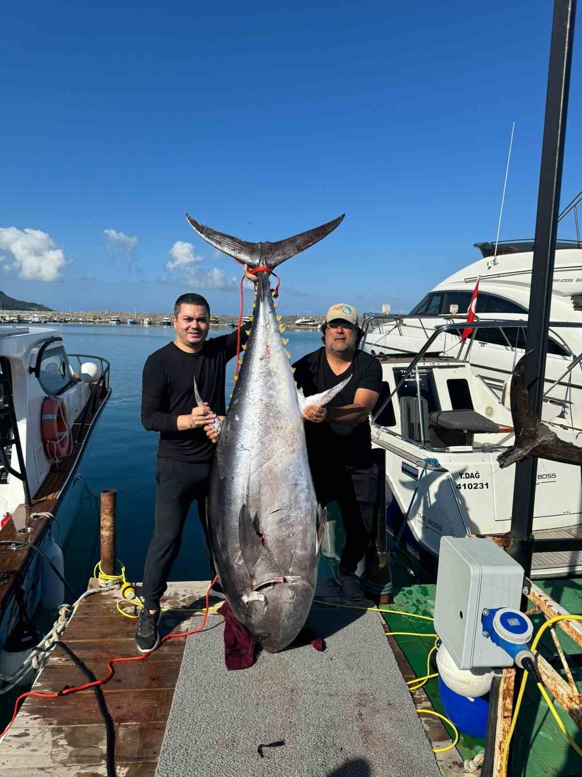 154 kiloluk devasa orkinosu 4 kişi, 1 saatlik mücadeleyle yakalamayı başardı