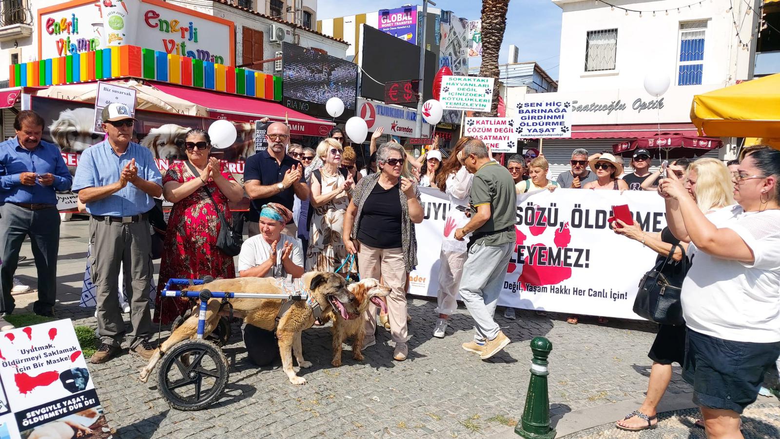 Hayvanlar için toplandılar