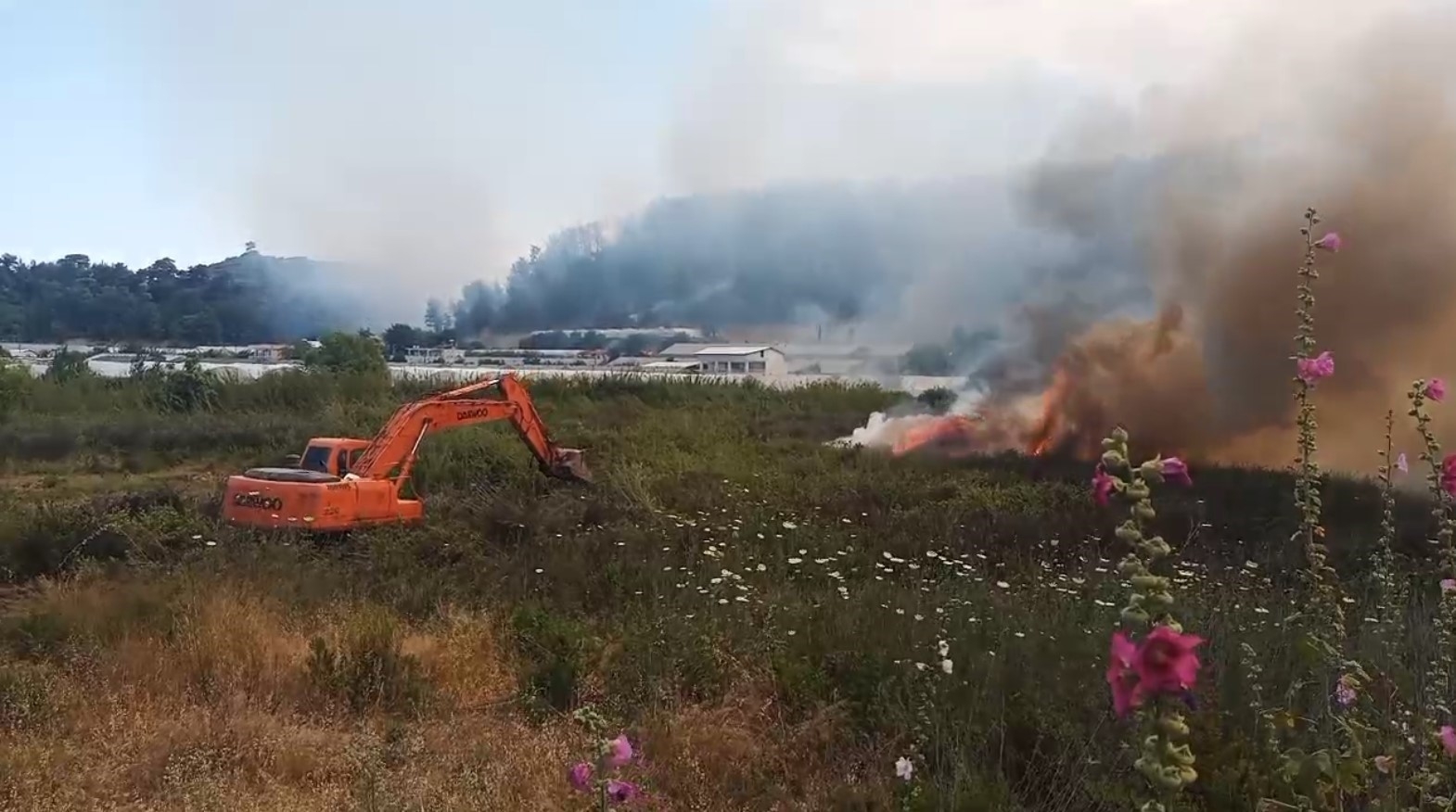Antalya'da orman yangını kontrol altına alındı