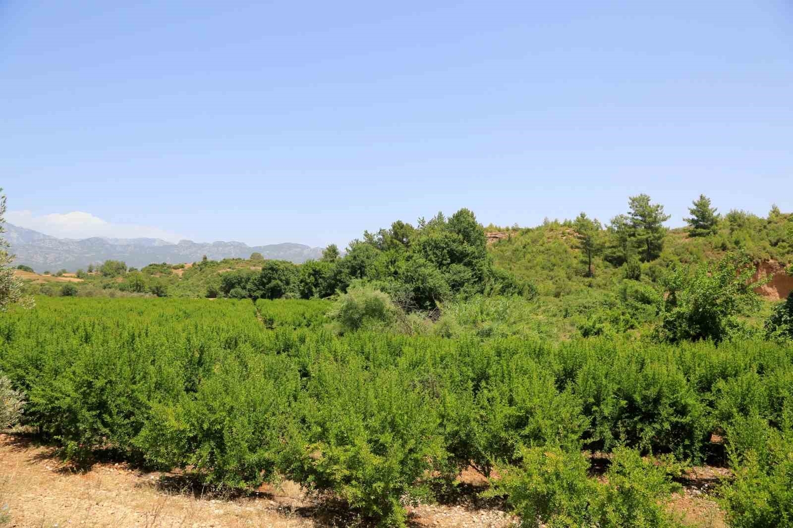 Antalya'daki kayıp genç doktordan kötü haber geldi