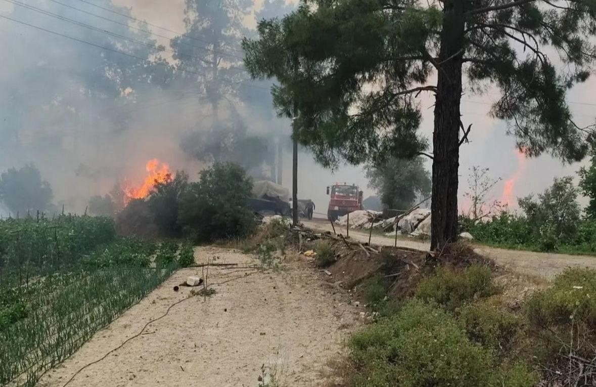Arazide çıkan yangın ormana sıçradı, 25 dekar alan yandı