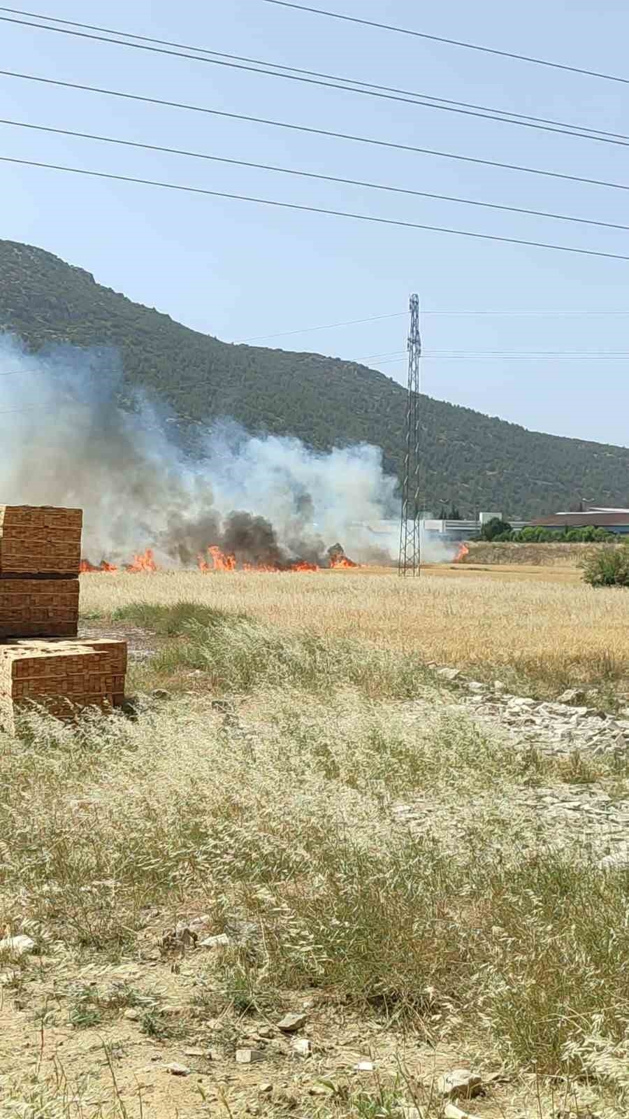 Burdur'da çıkan arazi yangınında yaklaşık 25 dekar alan yandı