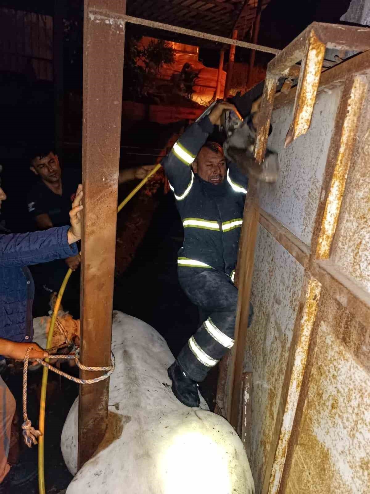 Demirlerin arasında sıkışan ineğin imdadına itfaiye ekipleri yetişti