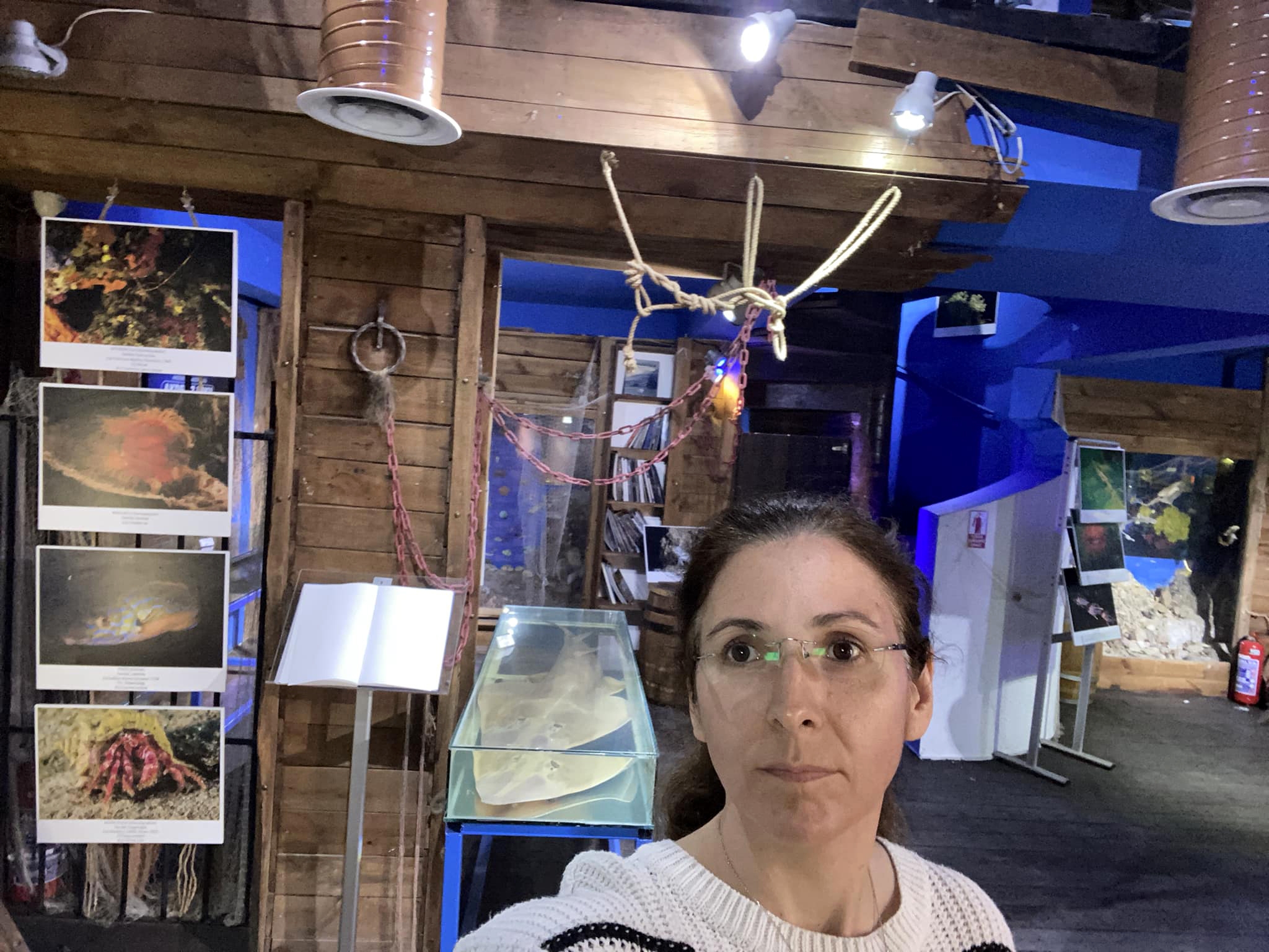 Deniz ürünleri mezarlığı, sözde müze boşaltıldı