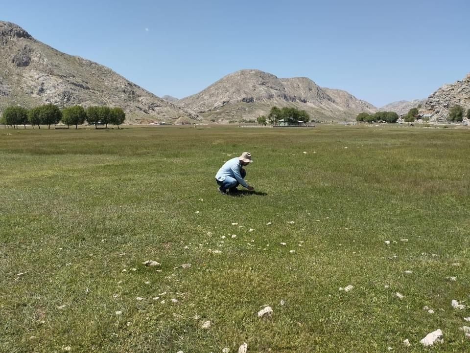 Gazipaşa'nın yaylalarında çekirge sürvey çalışması yapıldı