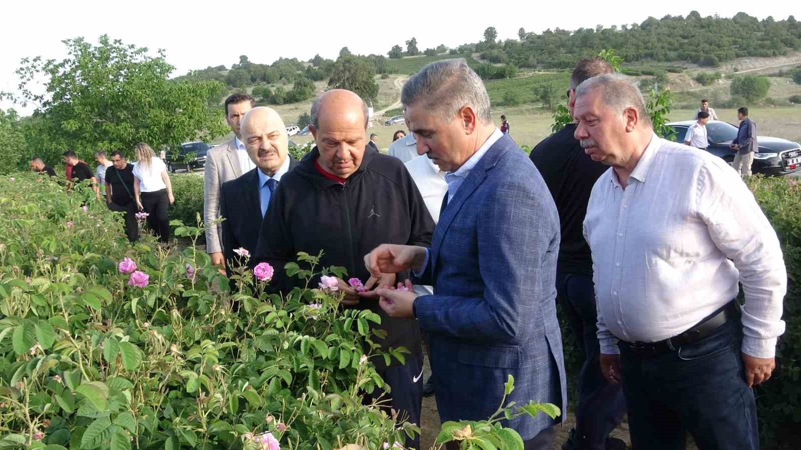 KKTC Cumhurbaşkanı Ersin Tatar: "Gül bir kültürdür"