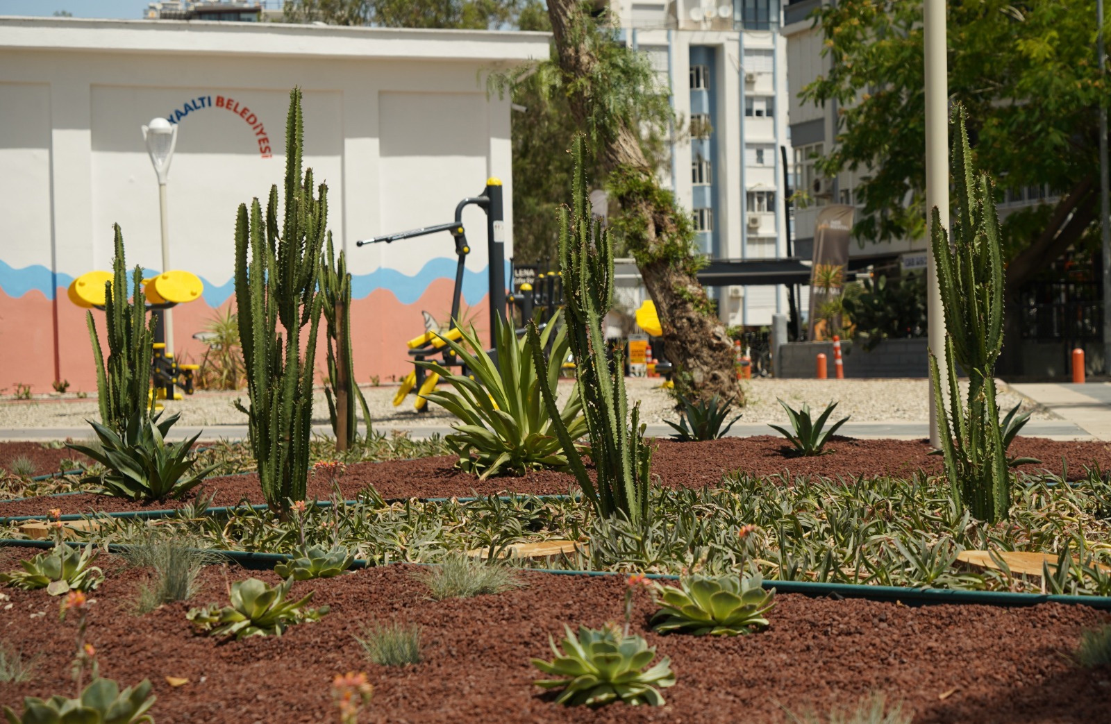 Konyaaltı'nda engelli ve iklim dostu park
