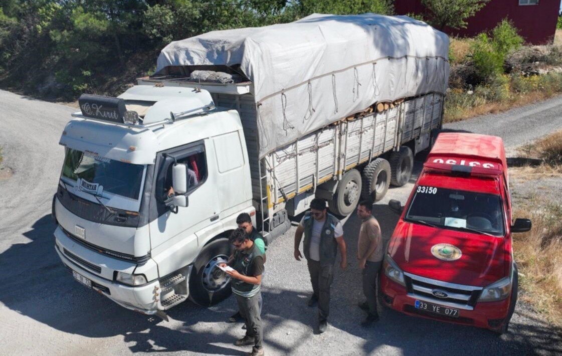 Mersin'de orman kaçakçılığına yönelik denetim yapıldı