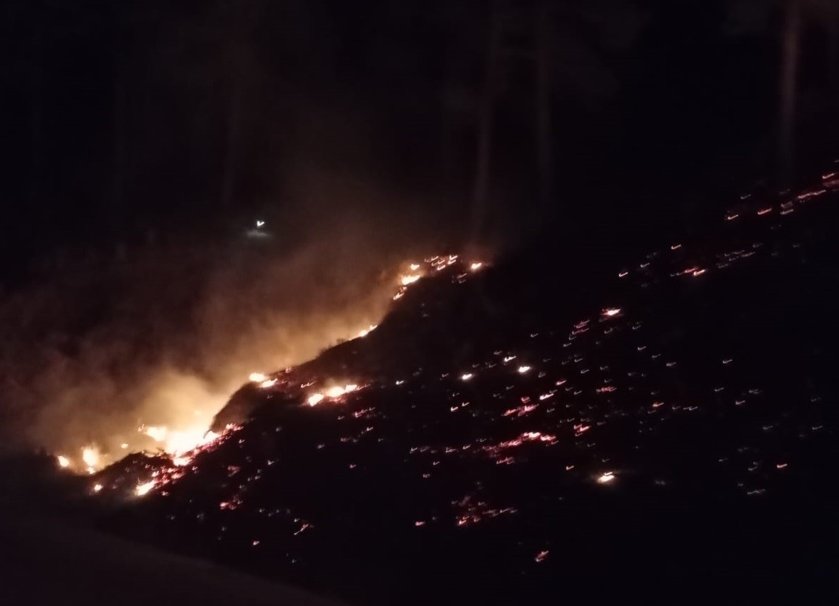 Mersin'de orman yangını: 10 dönüm alan zarar gördü