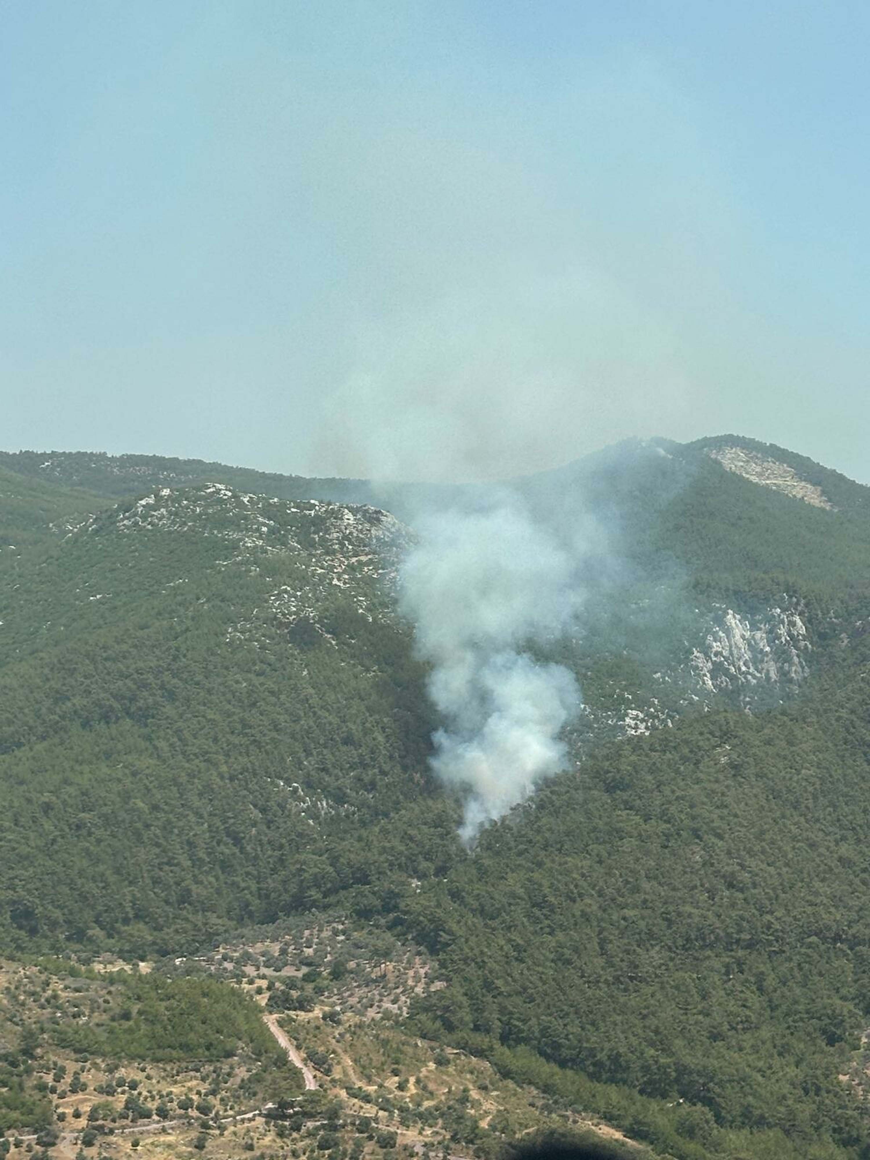 Muğla'da orman yangını