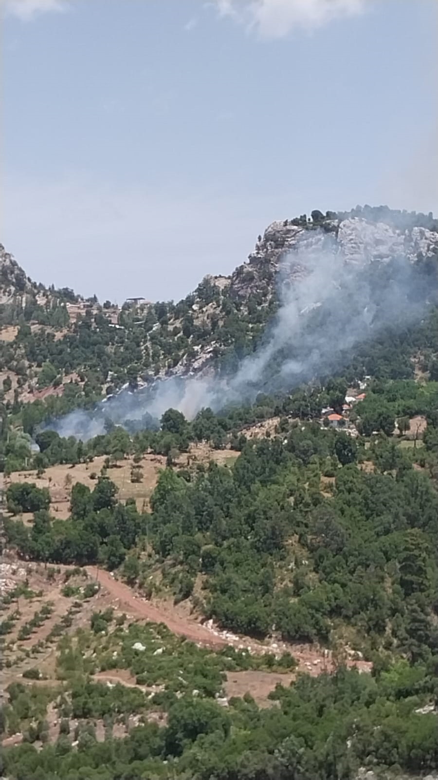 Orman yangını büyümeden söndürüldü