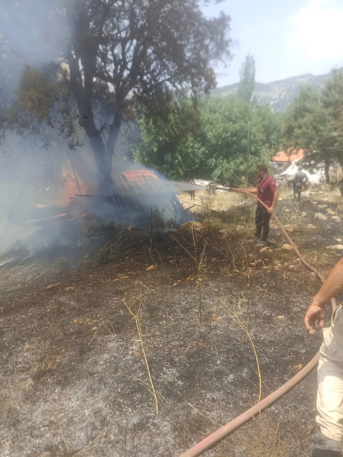 Orman yangını büyümeden söndürüldü