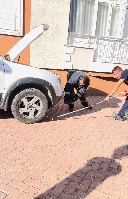 Park halindeki cipe giren yılanı, itfaiye ekipleri çıkardı