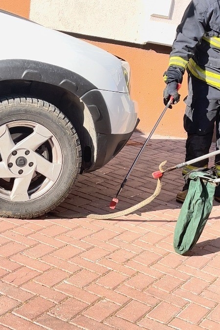 Park halindeki cipe giren yılanı, itfaiye ekipleri çıkardı