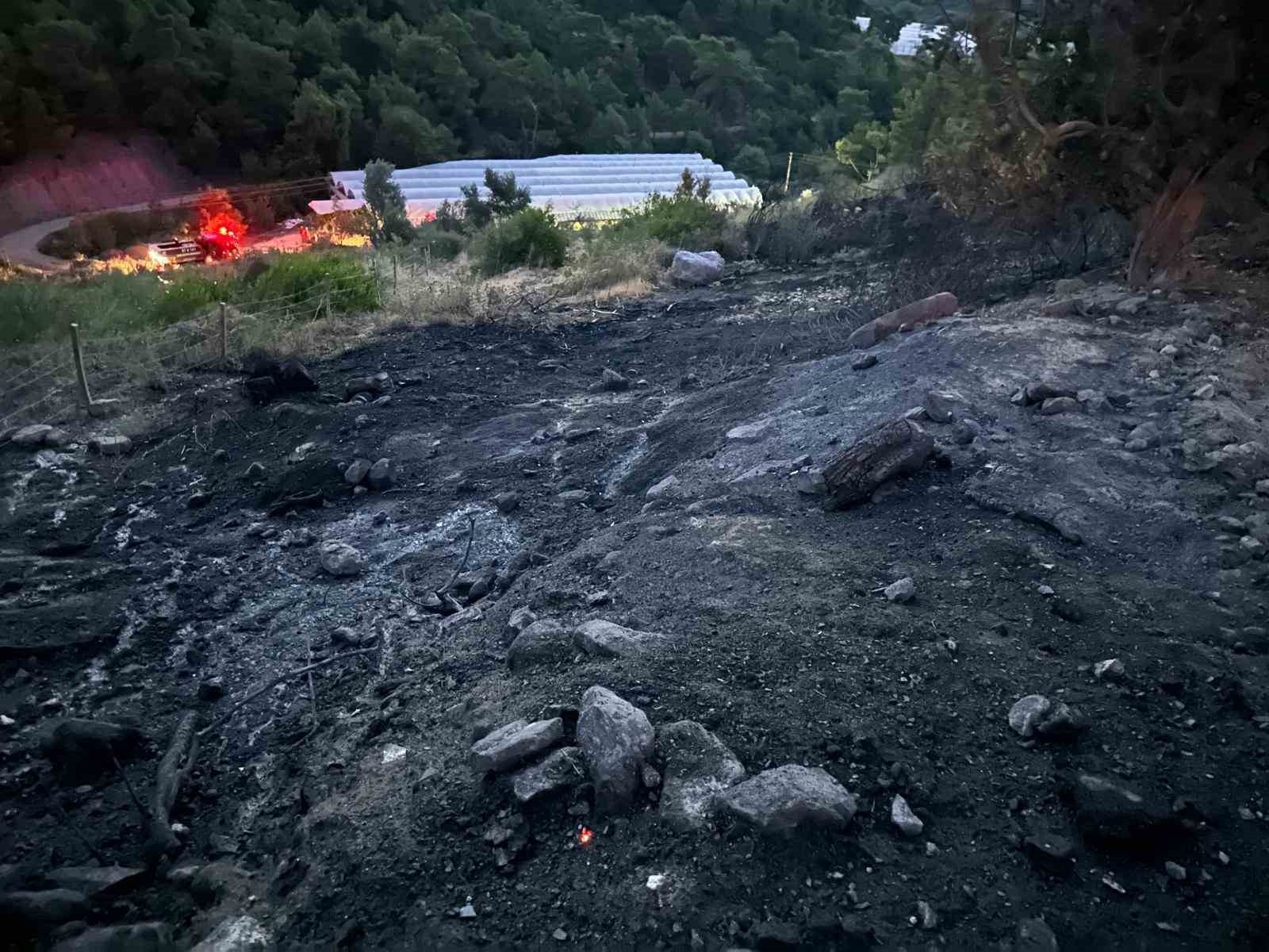 Serik'te orman yangını kısa sürede söndürüldü