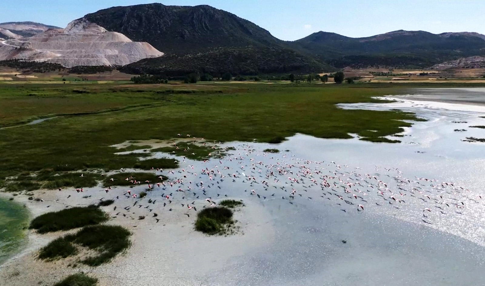 Yarışlı Gölü'nün misafirleri flamingolar, dronla görüntülendi