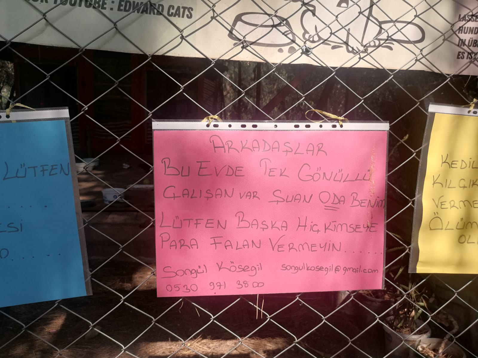 Kedi Evleri Bakımsız Halde