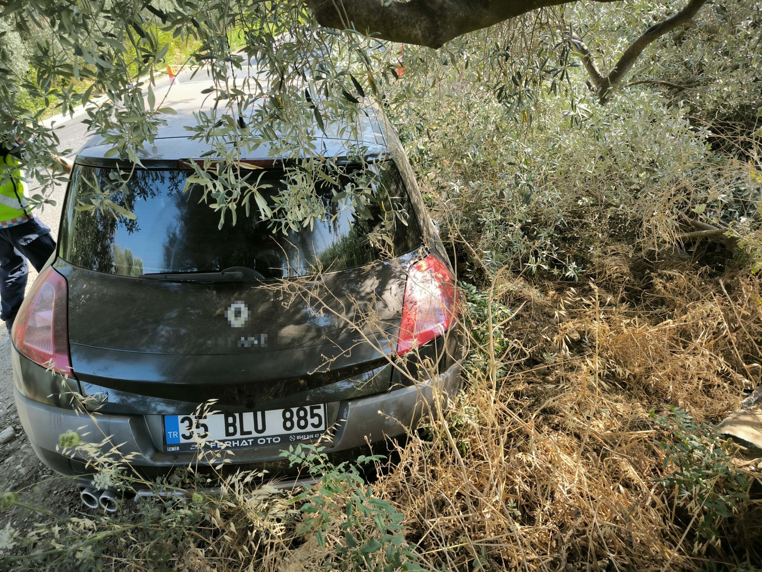 Ağaca çarpan otomobilin sürücüsü öldü