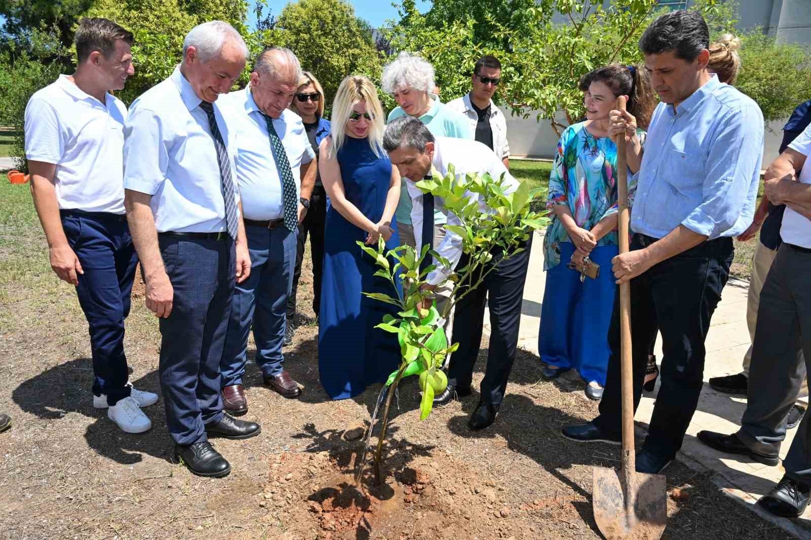 Antalya'da 15 Temmuz şehitleri anısına 253 fidan dikildi