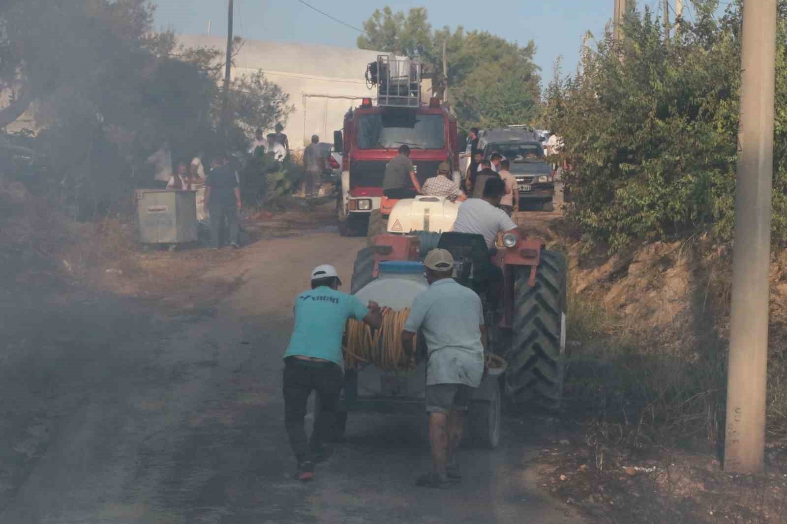 Antalya'da çıkan yangın seraları ve ormanlık alanı etkiledi
