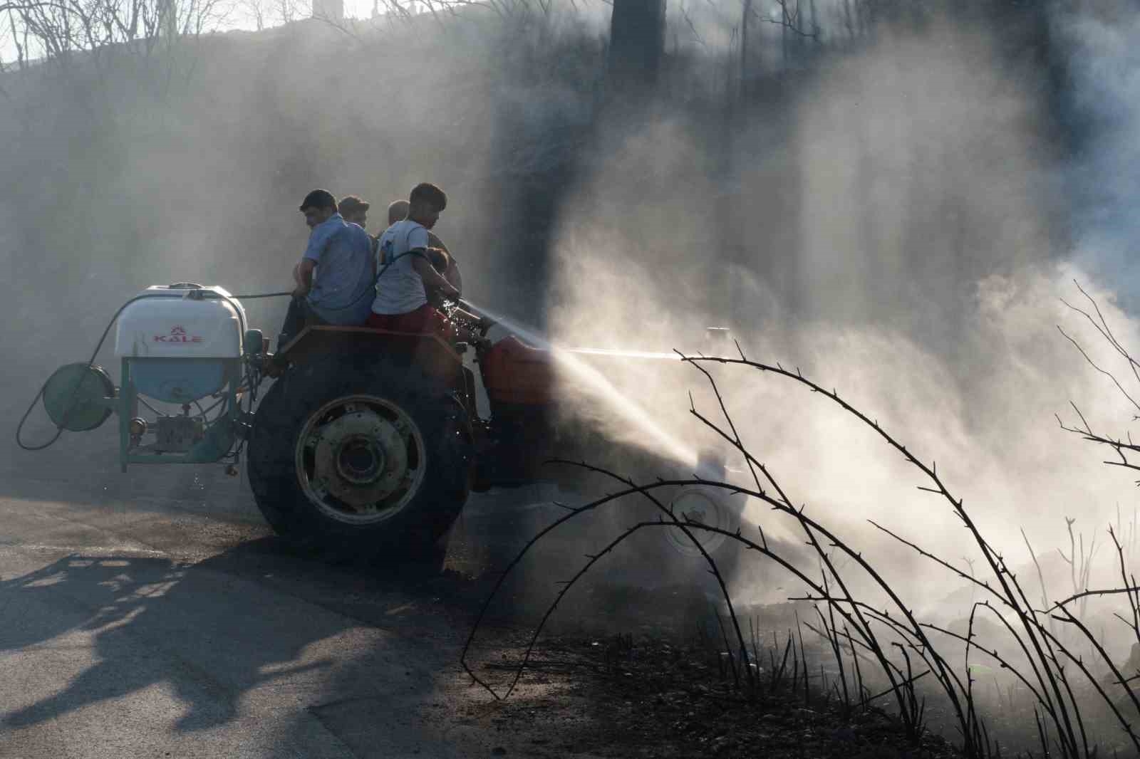 Antalya'da çıkan yangın seraları ve ormanlık alanı etkiledi