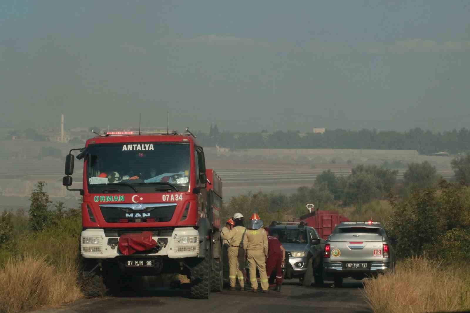 Antalya'da çıkan yangın seraları ve ormanlık alanı etkiledi