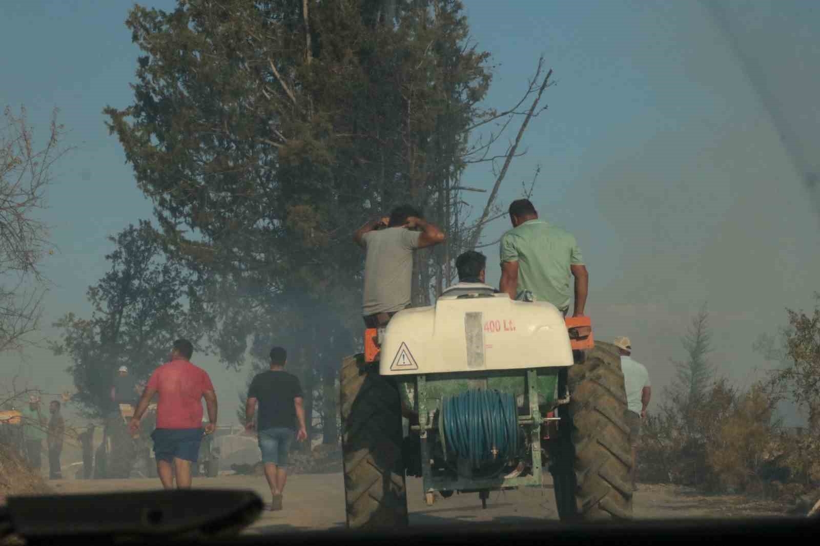 Antalya'da çıkan yangın seraları ve ormanlık alanı etkiledi