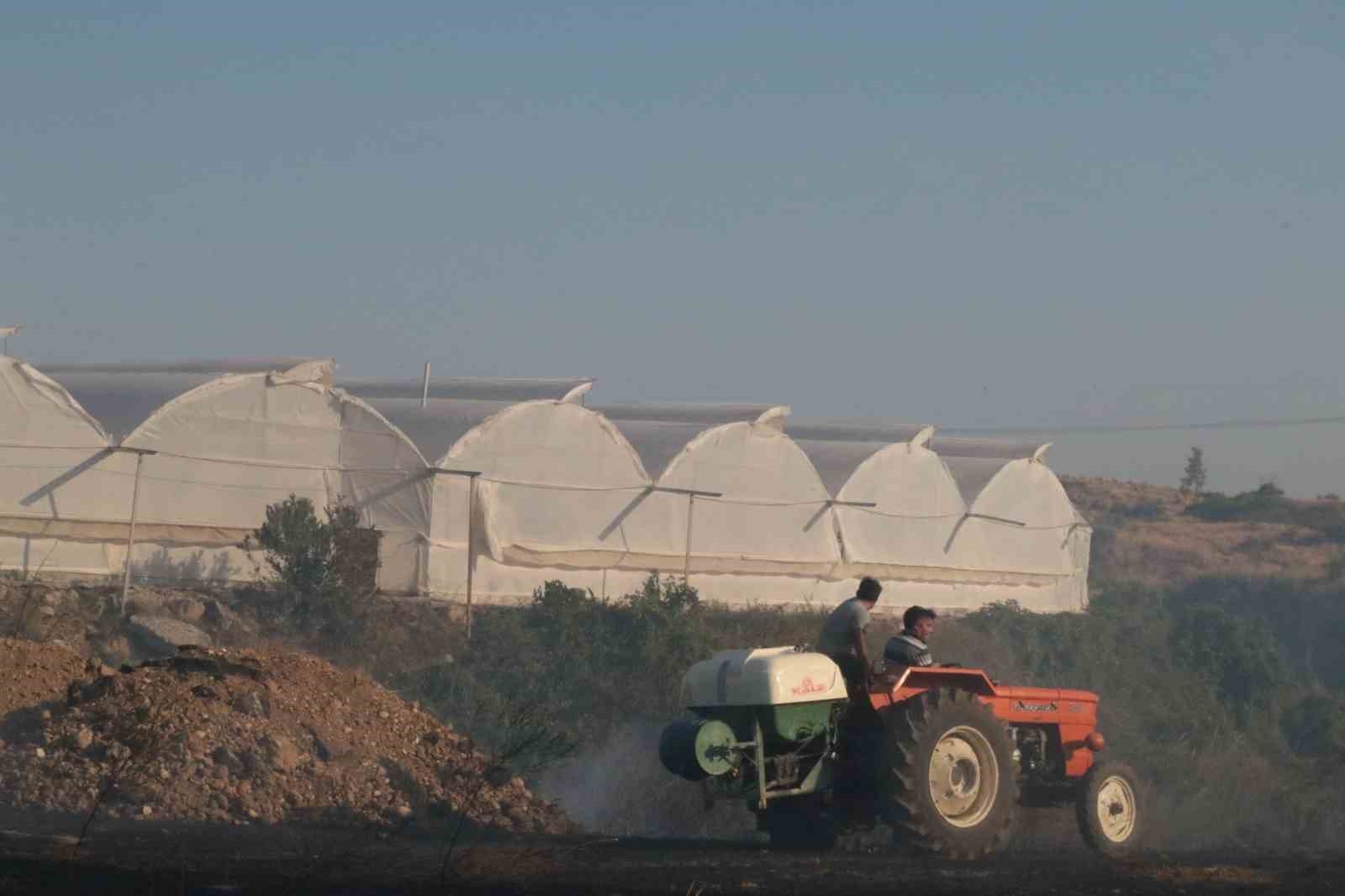 Antalya'da çıkan yangın seraları ve ormanlık alanı etkiledi