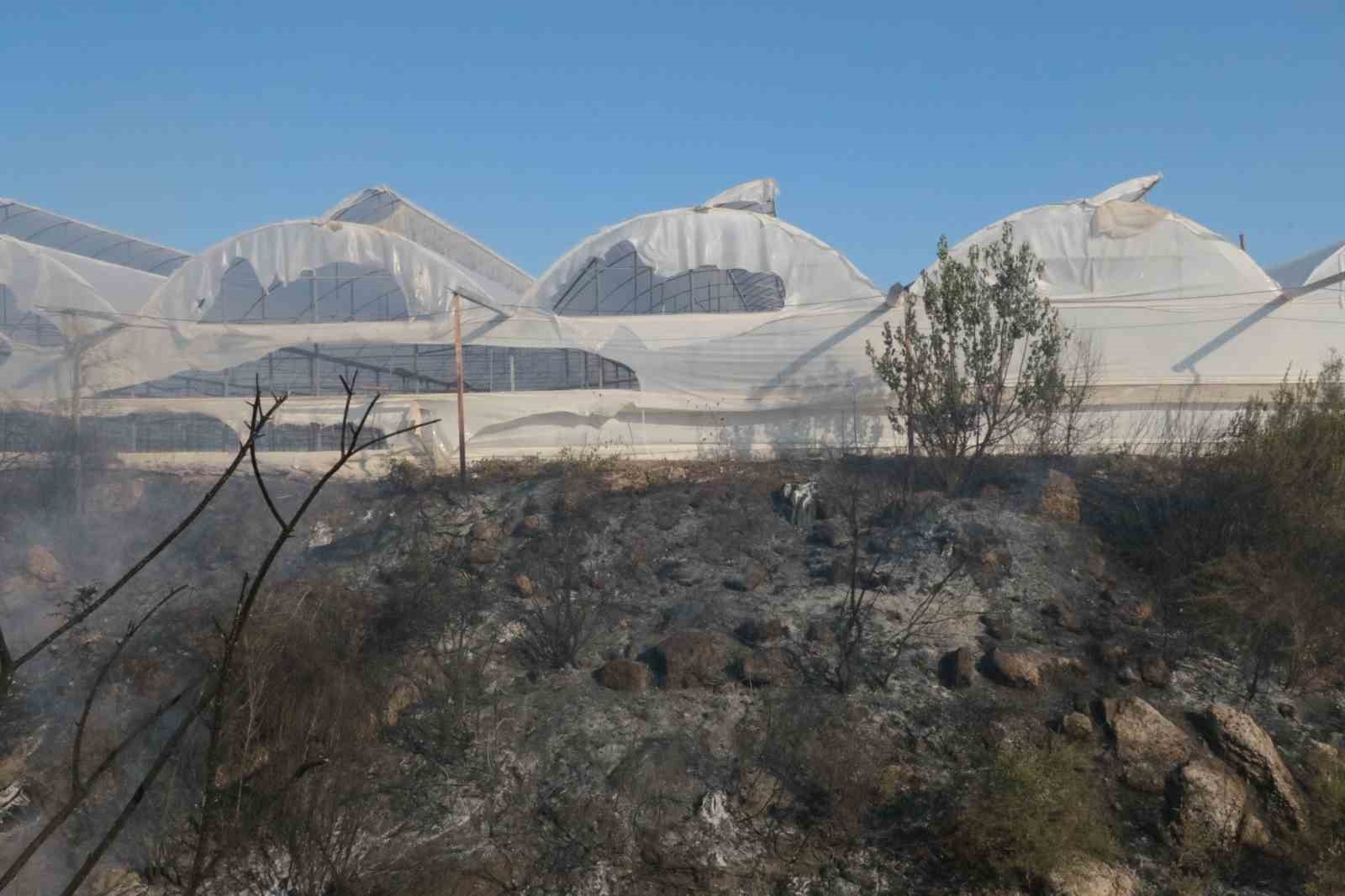 Antalya'da çıkan yangın seraları ve ormanlık alanı etkiledi