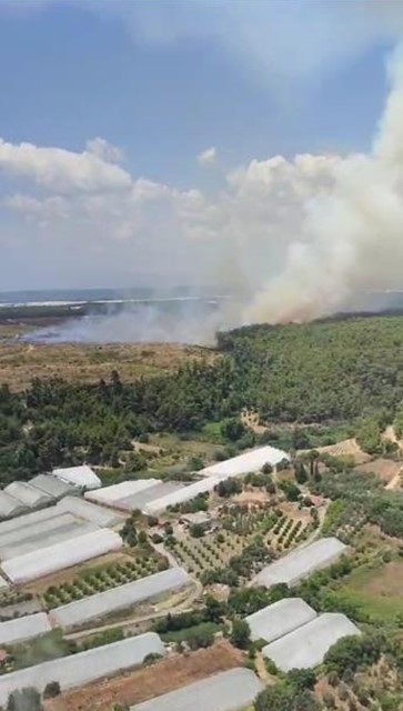 Antalya'da orman yangını