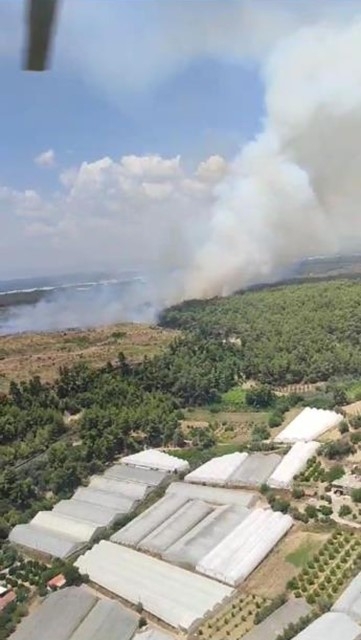 Antalya'da orman yangını