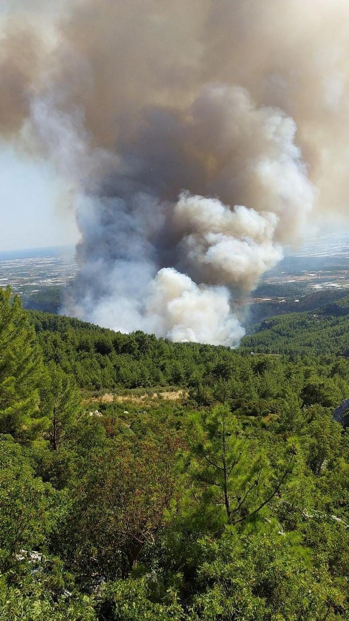 Antalya'da orman yangınına havadan ve karadan müdahale