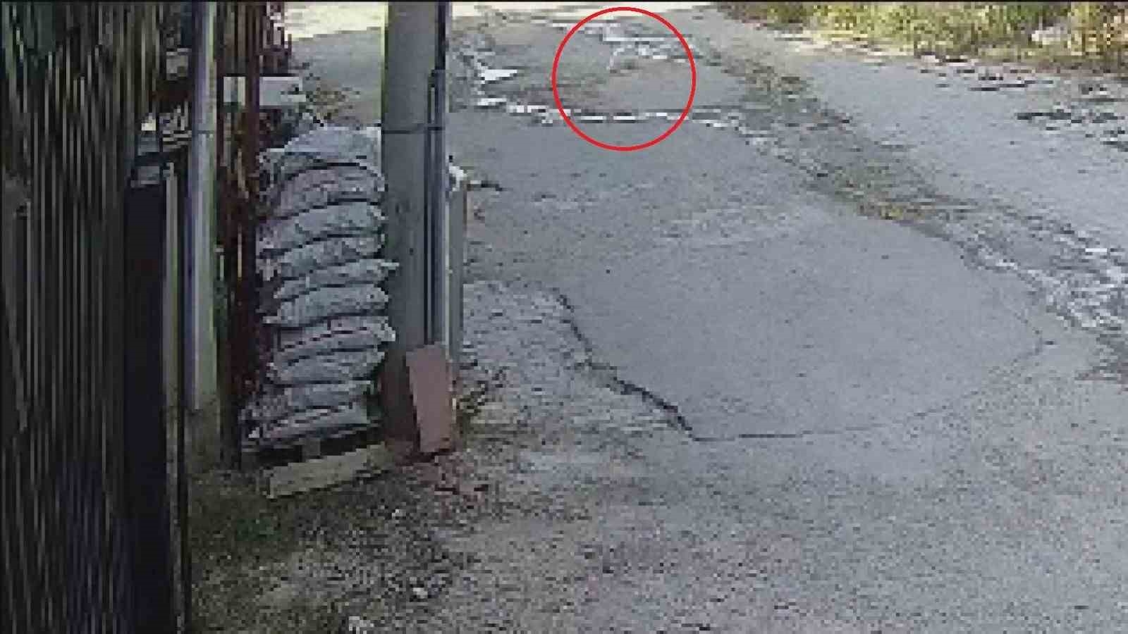 Aracın, su içen kediyi ezdiği anlar kamerada