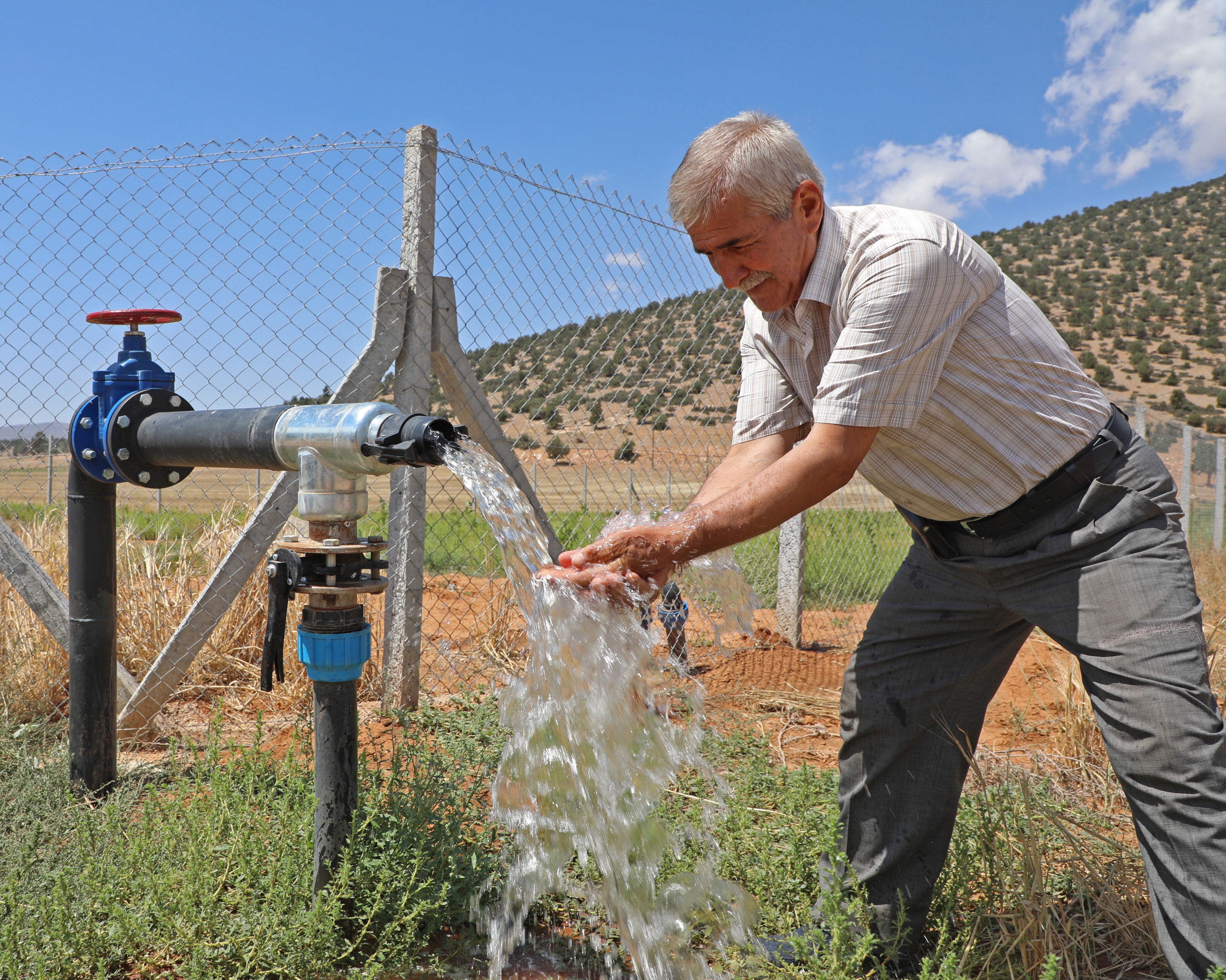 Arıtma suyu kurak ovaya can verdi