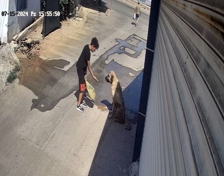 Beslediği sokak köpeği küçük çocuğa saldırdı, elini zor kurtardı