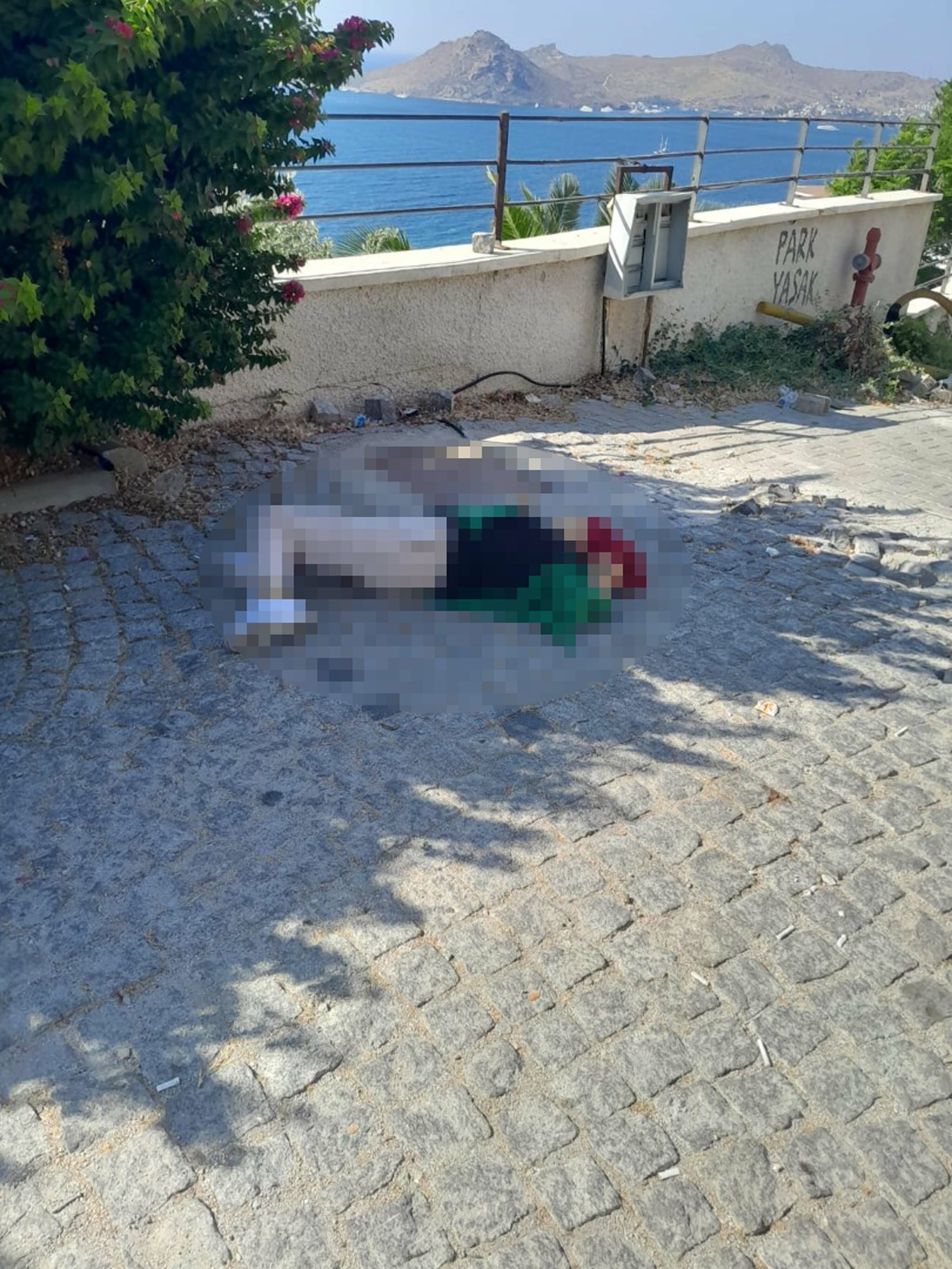 Bodrum'da eski karısını tabancayla öldürüp, arkadaşını yaralayan şüpheli yakalandı