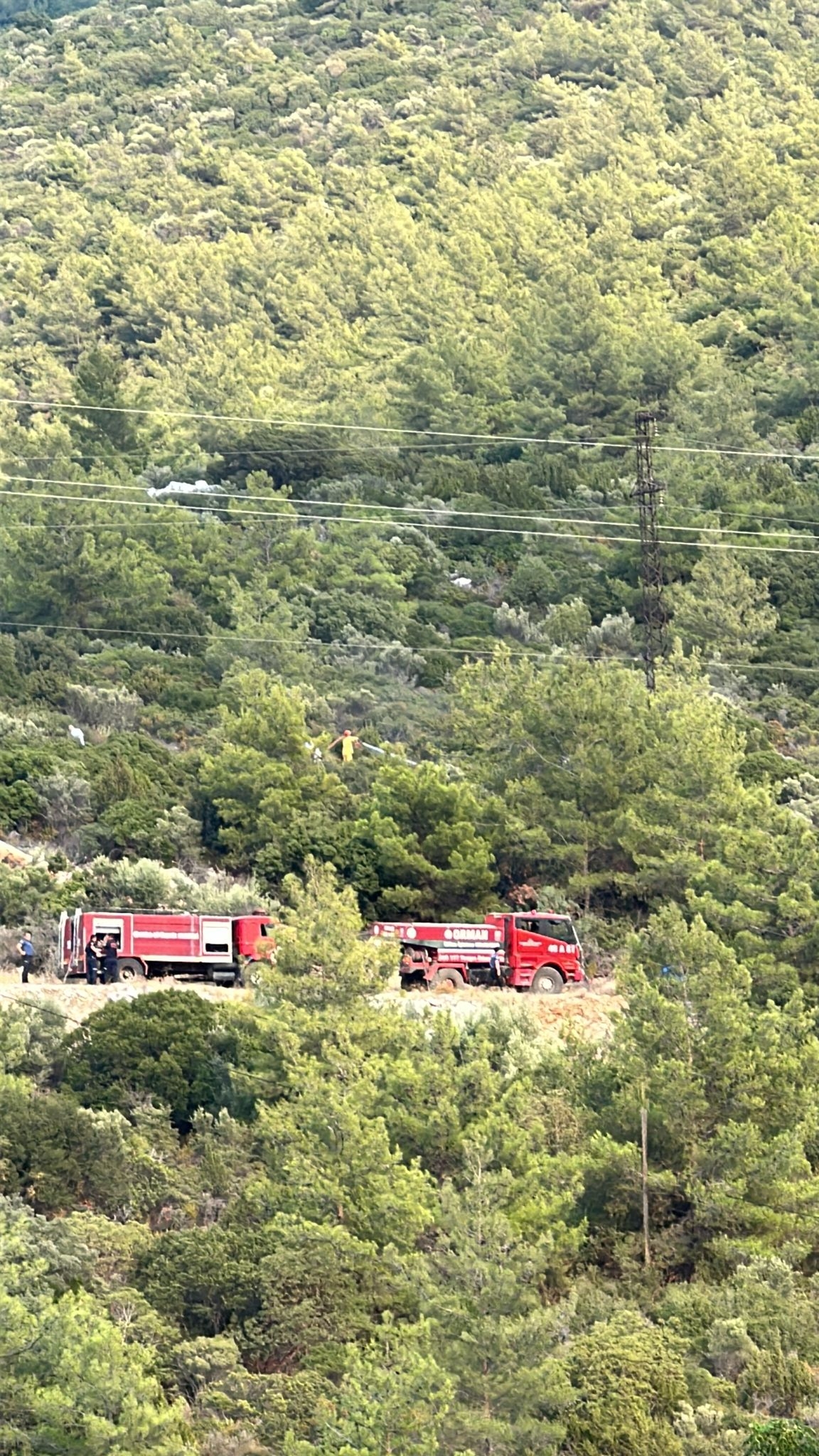 Bodrum'da ormanda çıkan korkutan yangın büyümeden söndürüldü