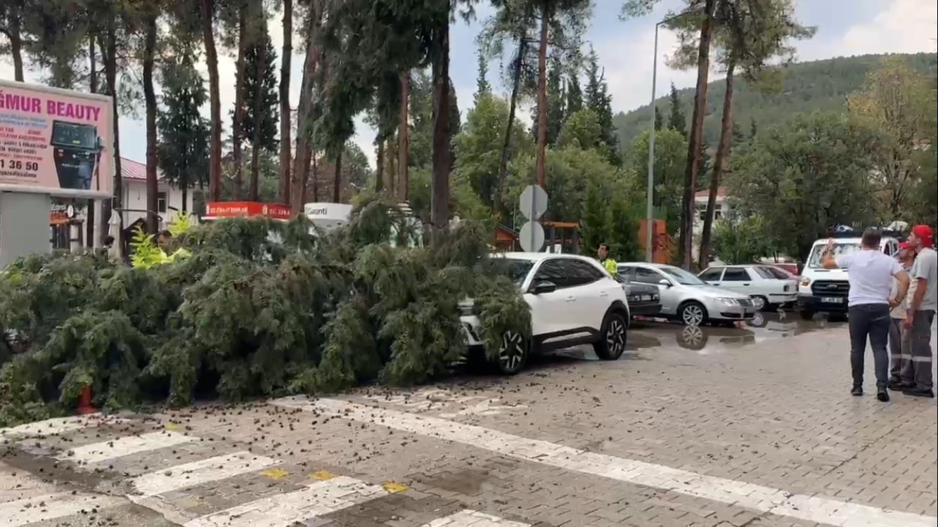 Burdur'da fırtınada kırılan ağaç aracın üzerine devrildi