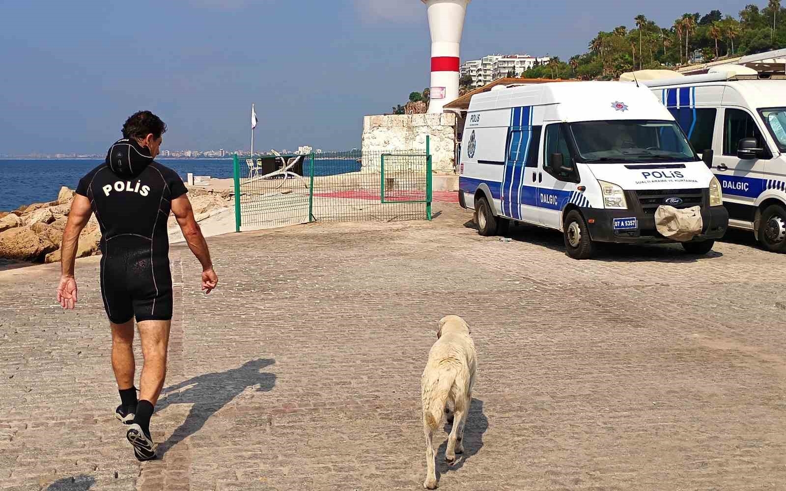 Deniz polisinden yürekleri ısıtan sokak köpeği kurtarma görevi