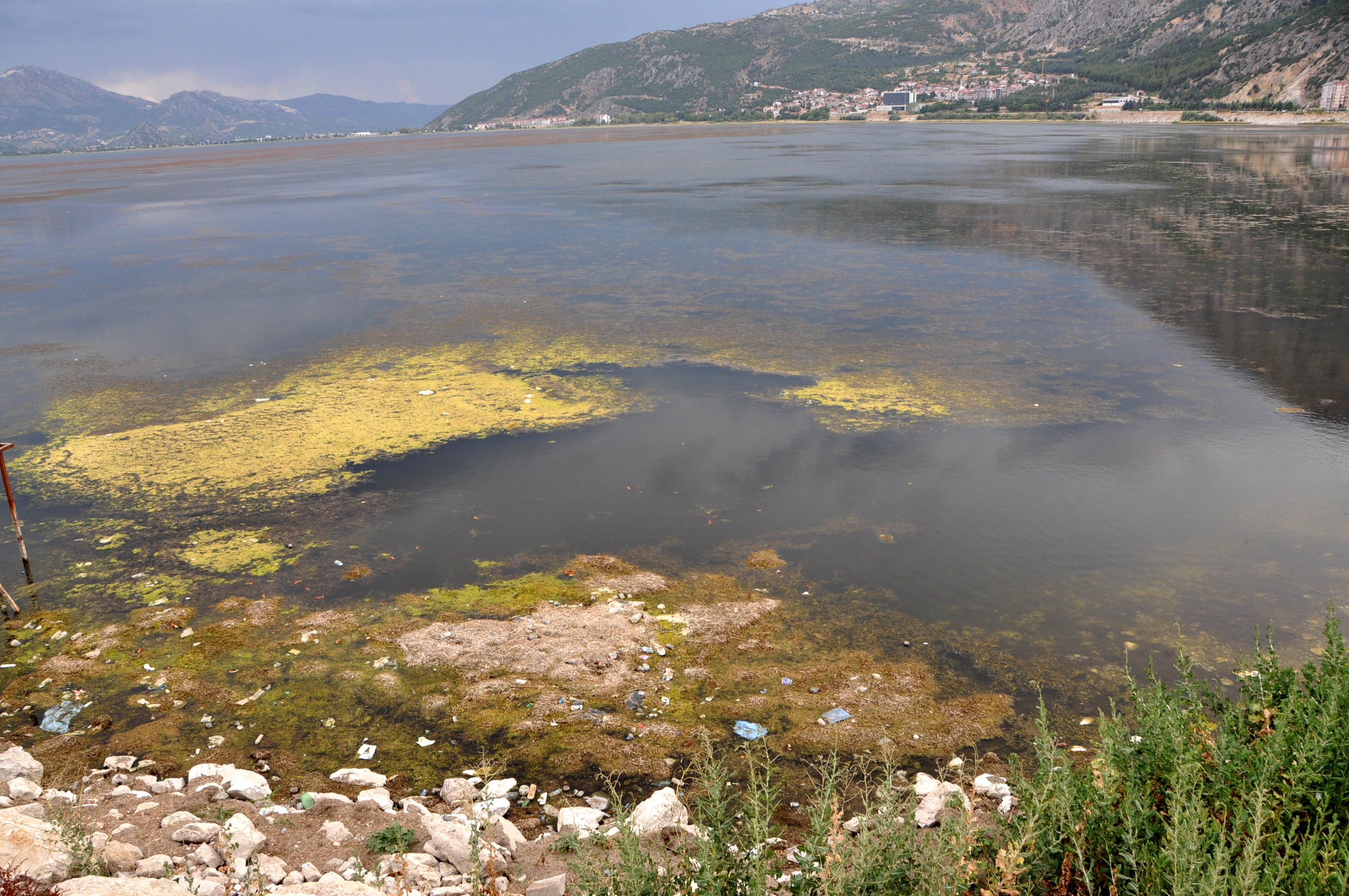 Eğirdir Gölü'nde dip ve ot temizliği yapılacak