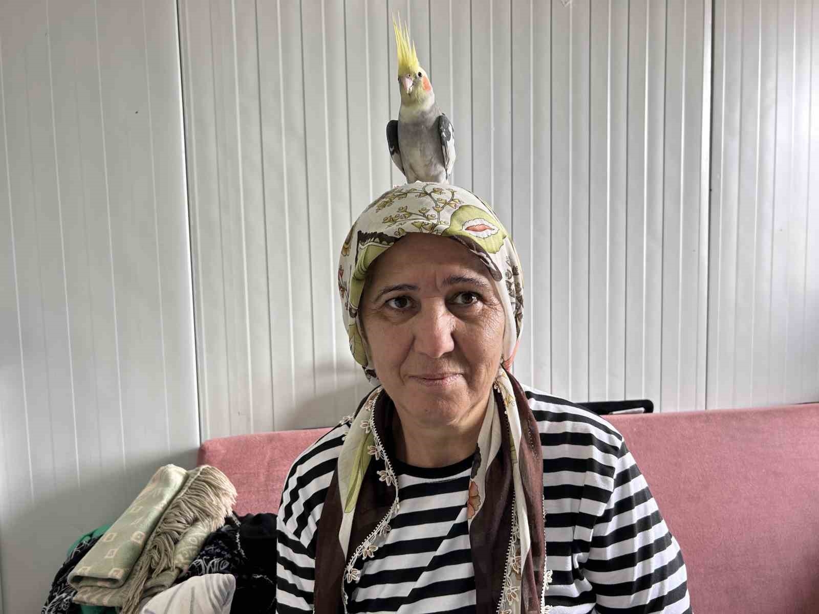 Evladım dediği papağanı günler sonra bulunan kadının göz yaşları yürekleri ısıttı