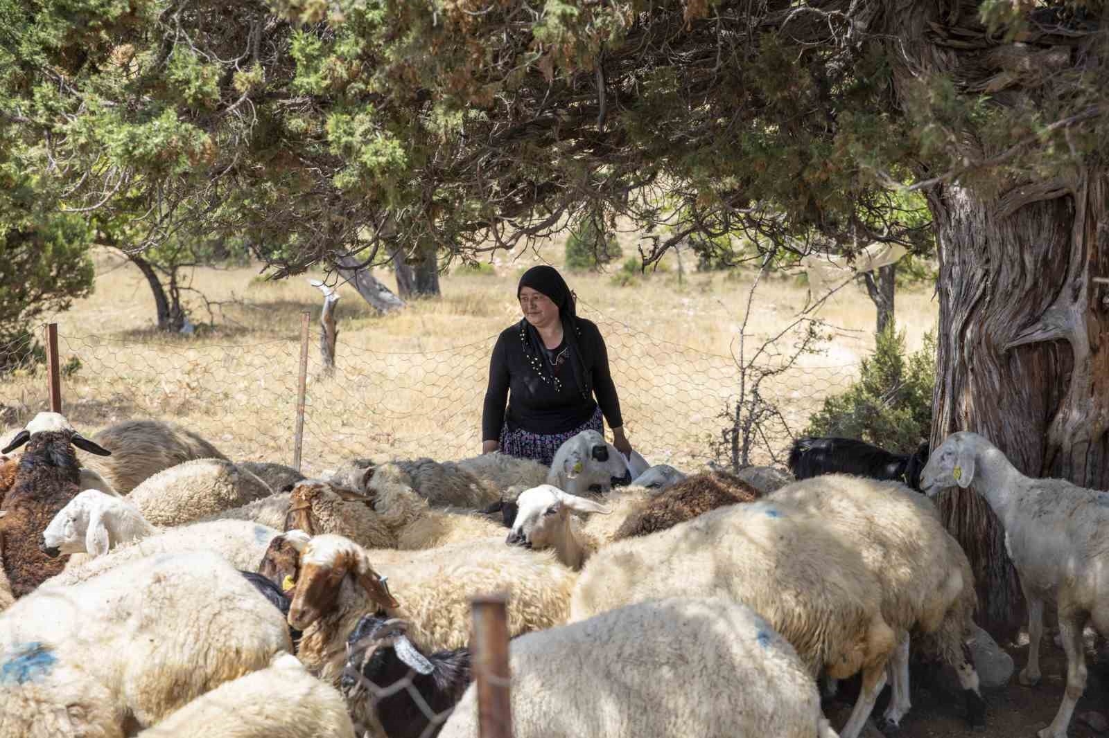 'Hadi Gel Köyümüze Destek Vereli' projesi 5. yılında