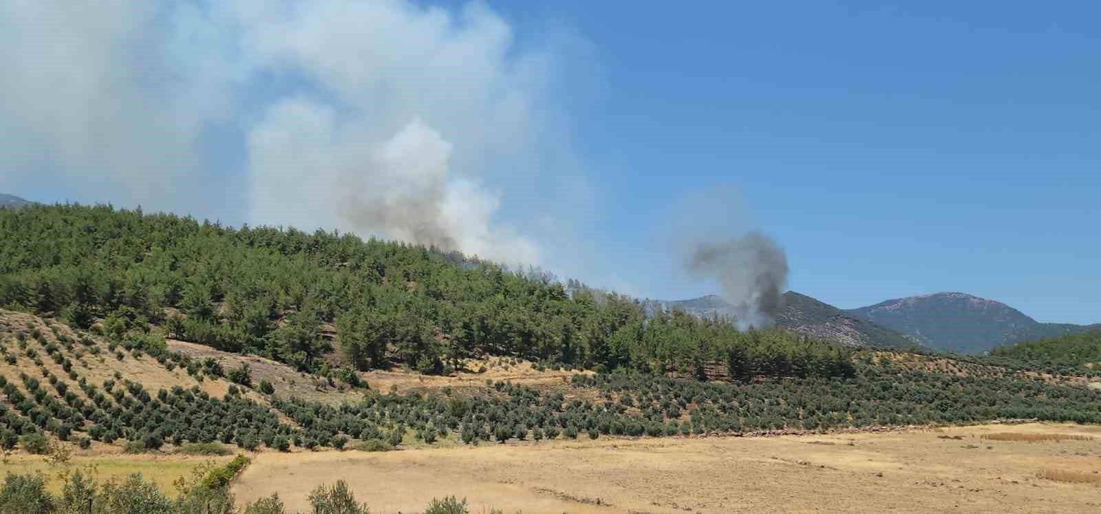 Hatay'da orman yangını