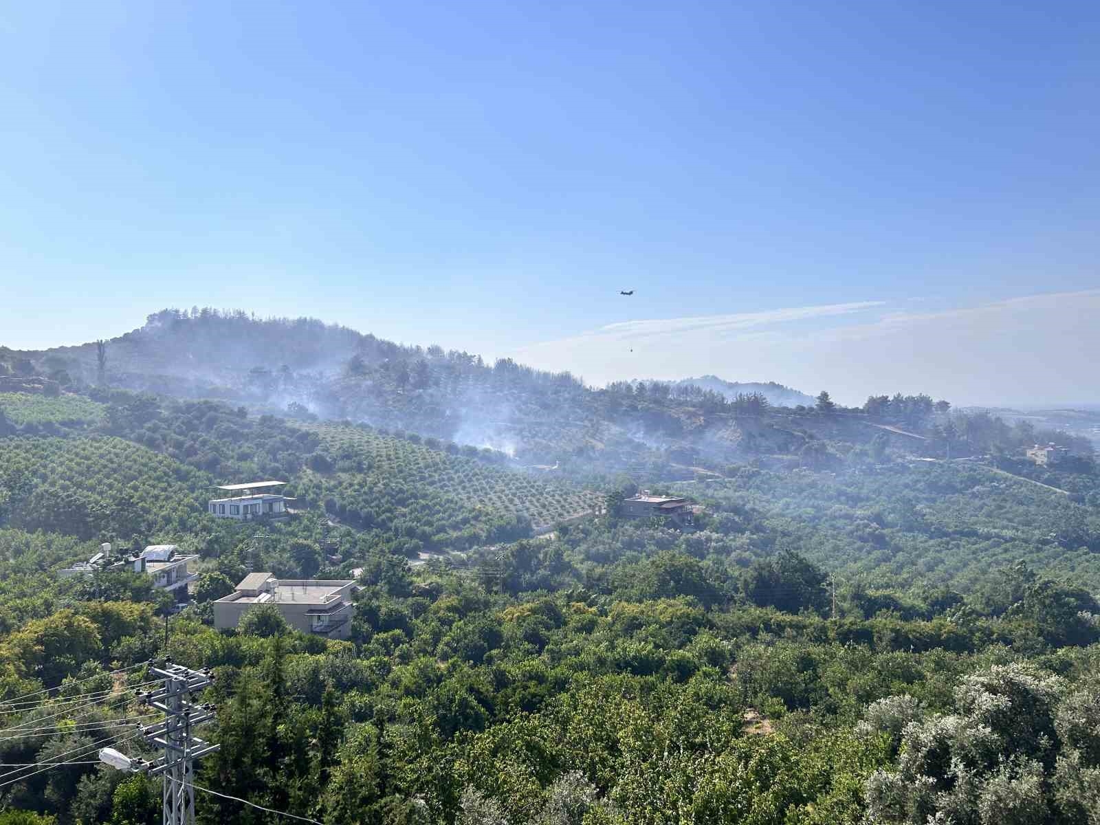 Hatay'daki orman yangını 4 saatlik müdahaleyle kontrol altına alındı