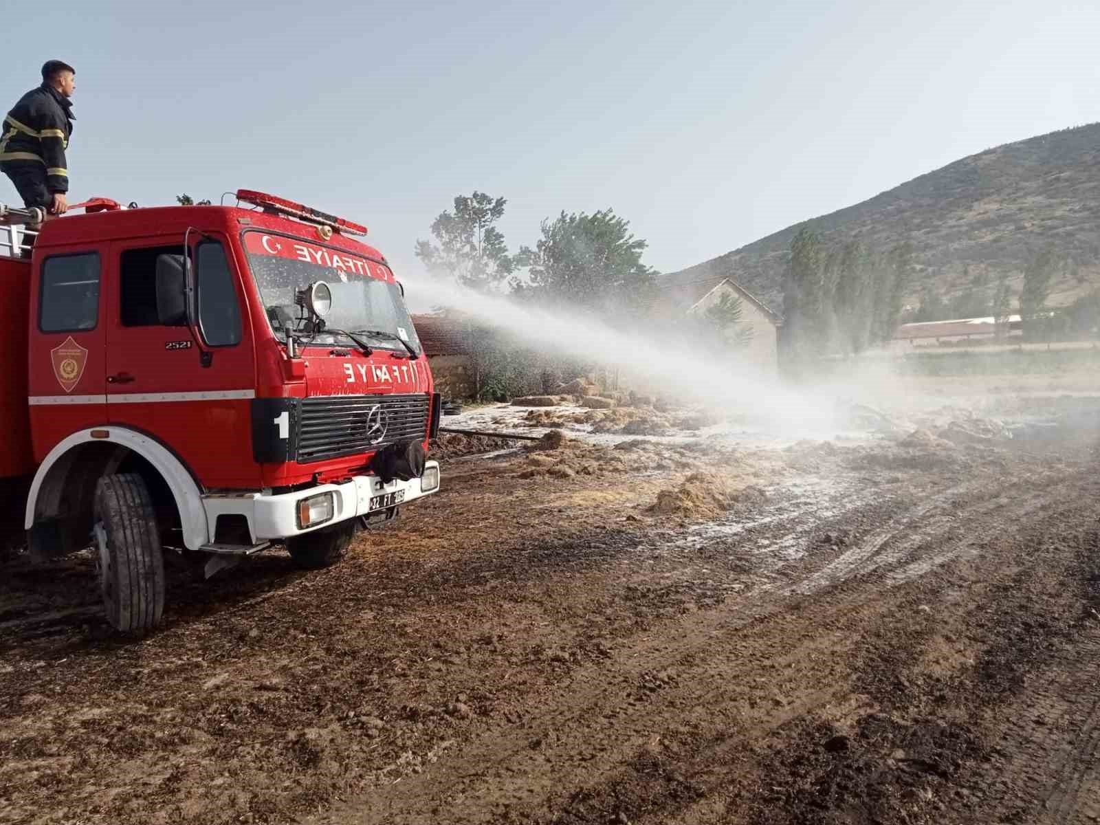 Isparta'da çıkan yangında 80 dönüm tarım arazisi küle döndü