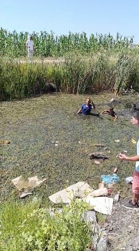 Jandarmadan kaçmak için bataklığa saklandı, kaçamadı