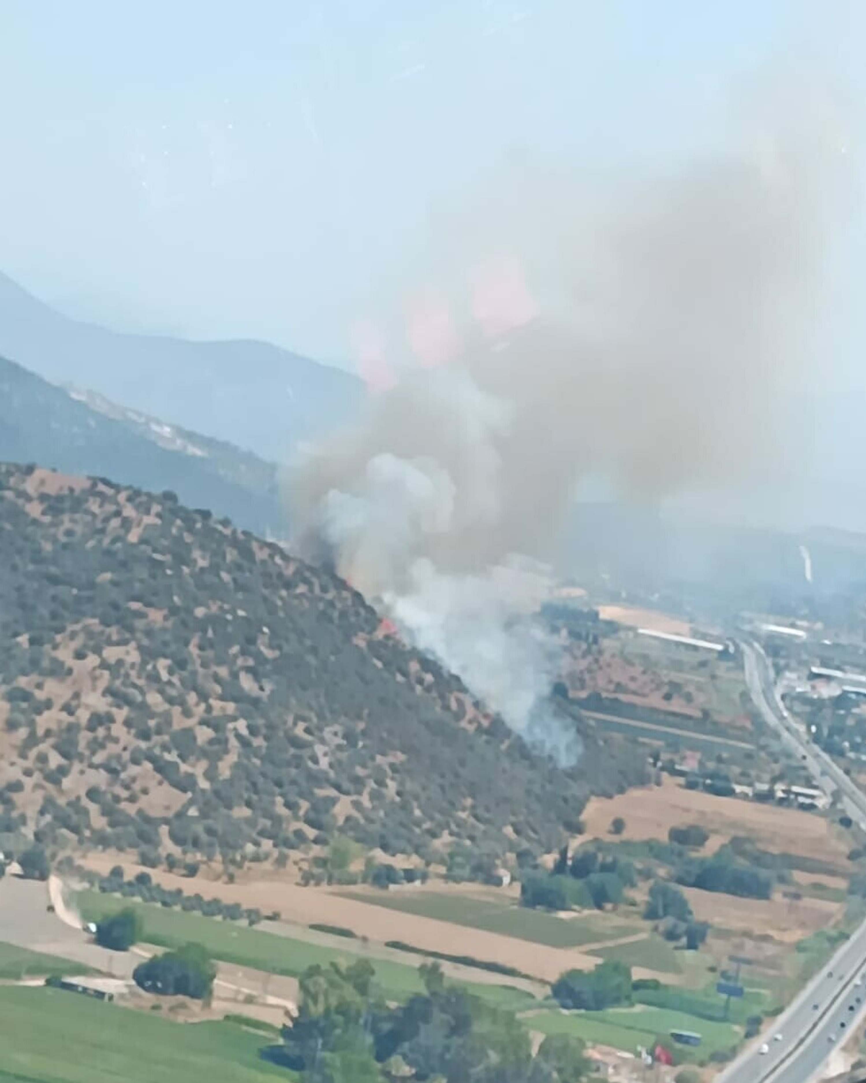 Milas'ta makilik ve tarım arazisinde yangın
